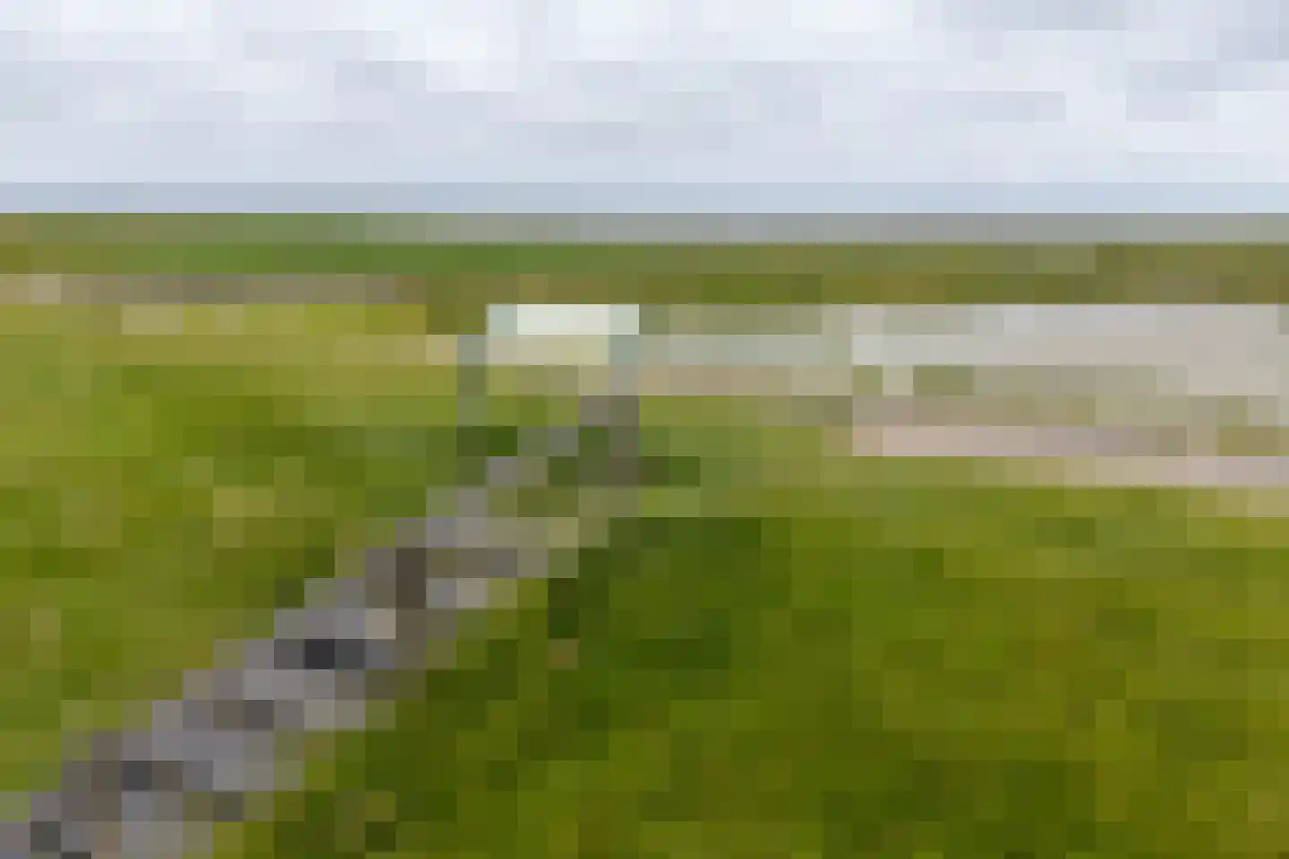 Dykspaad 4 Peazens thumbnail 67