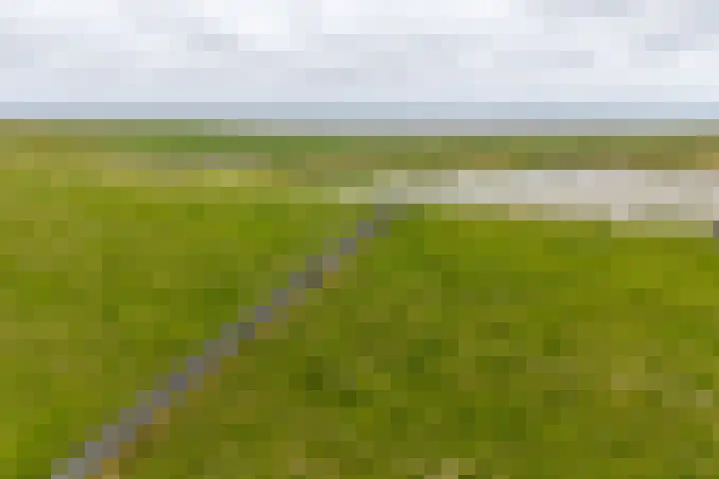 Dykspaad 4 Peazens thumbnail 68
