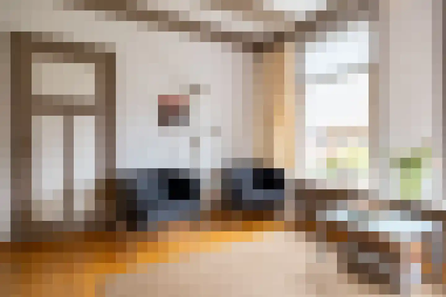Dykspaad 4 Peazens thumbnail 7