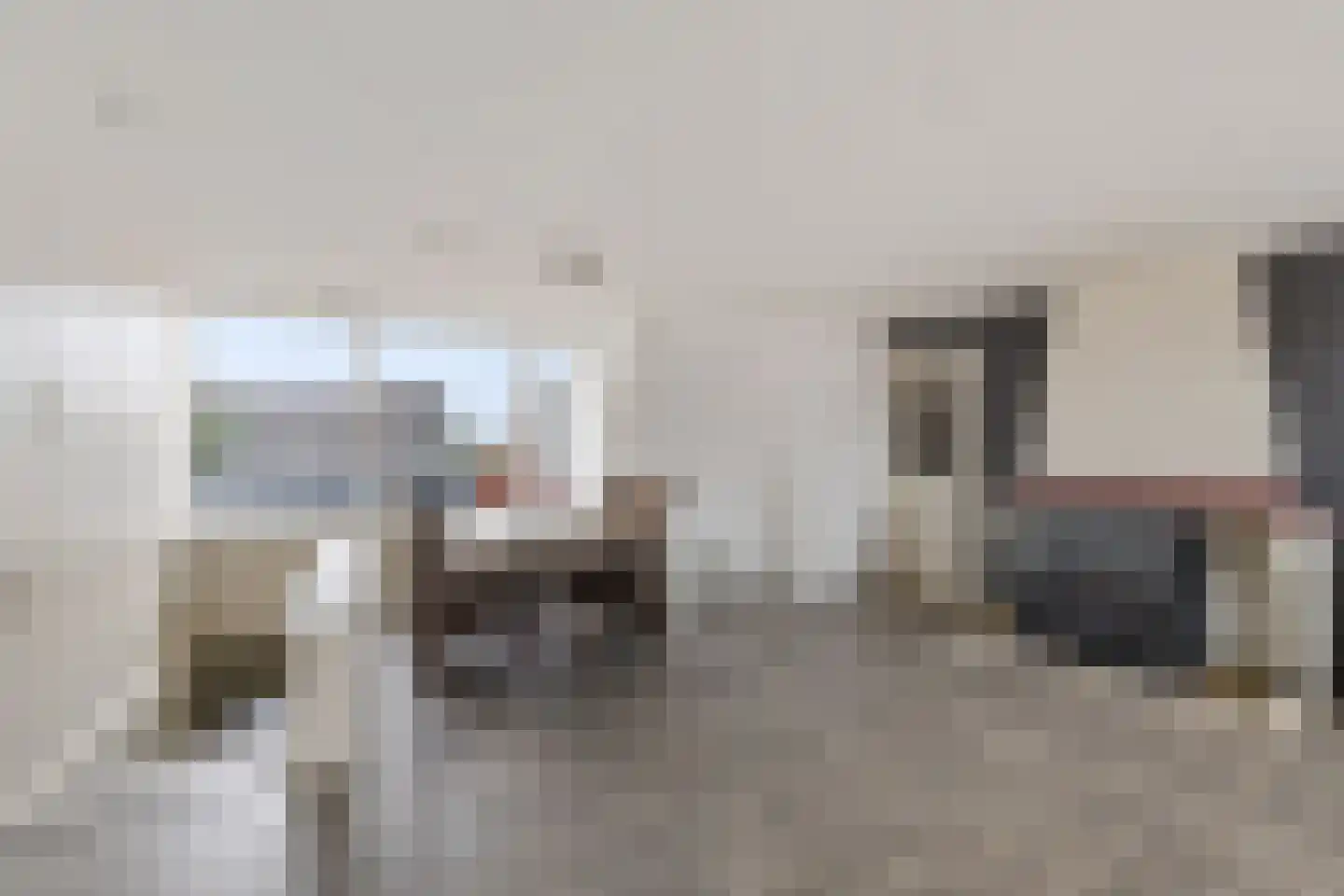 Dyksterbuorren 3 Menaam thumbnail 10