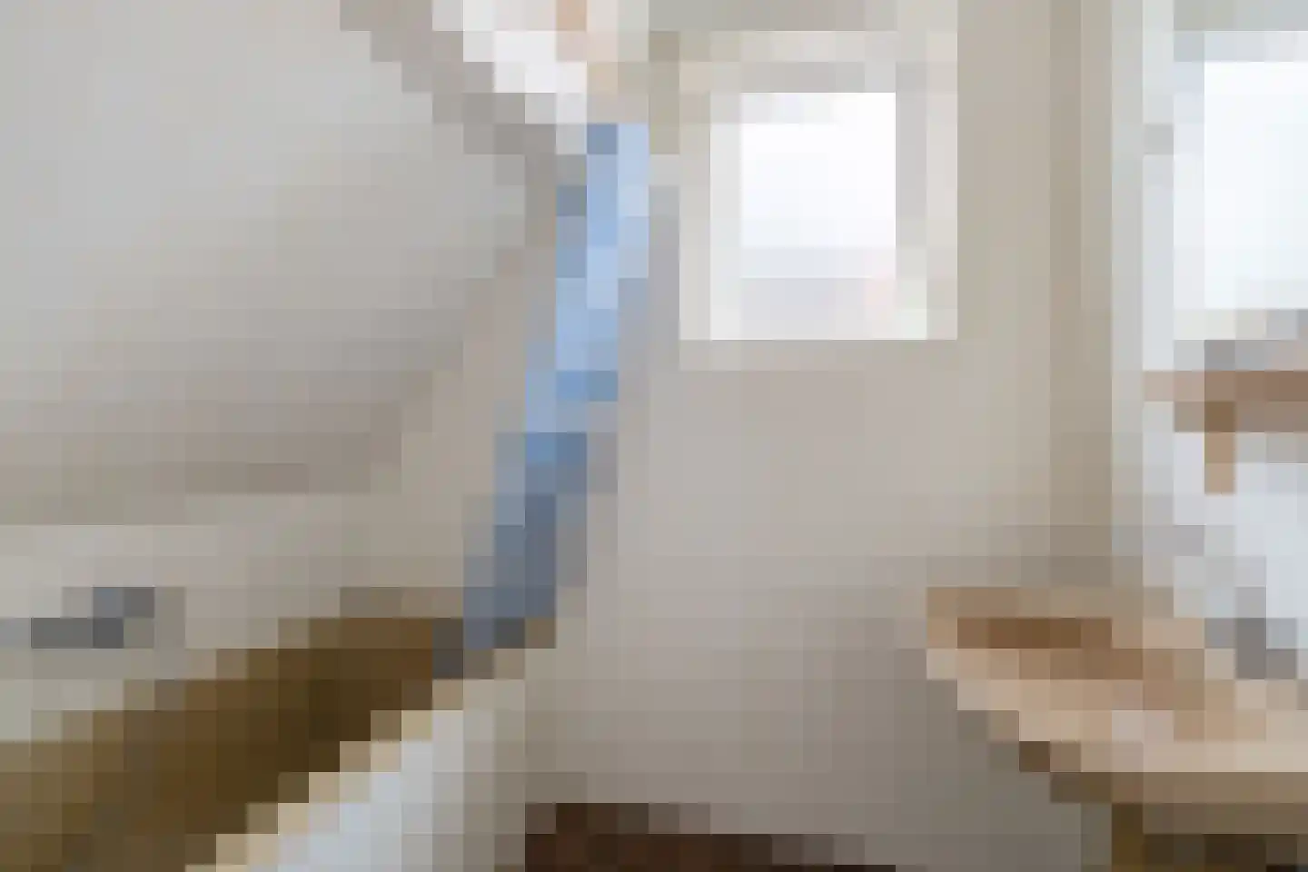 Dyksterbuorren 3 Menaam thumbnail 17