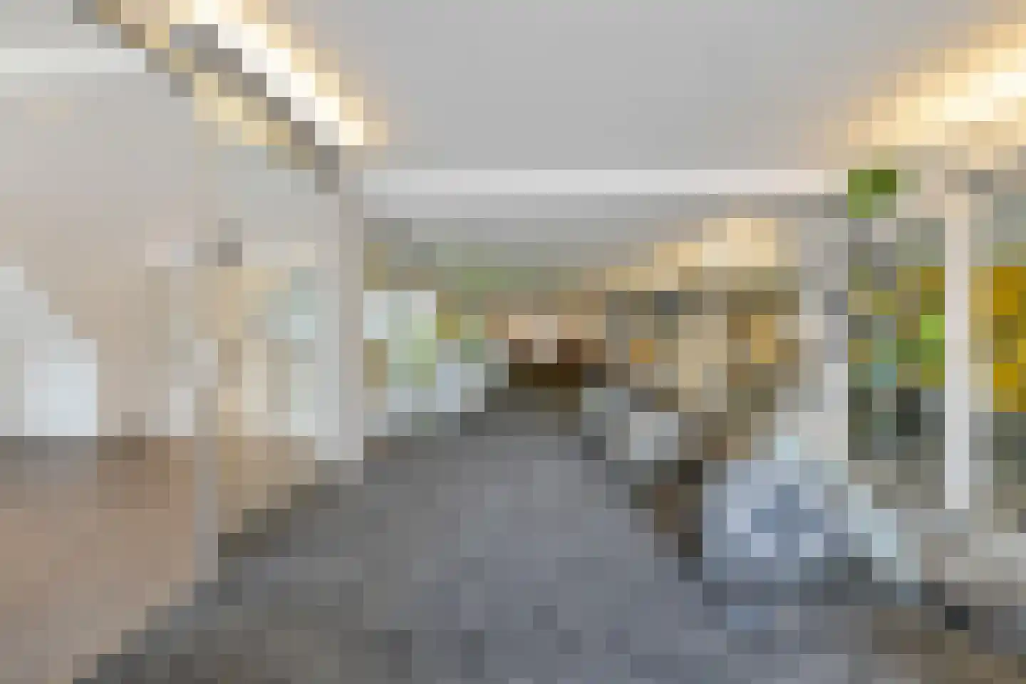 Dyksterbuorren 3 Menaam thumbnail 22