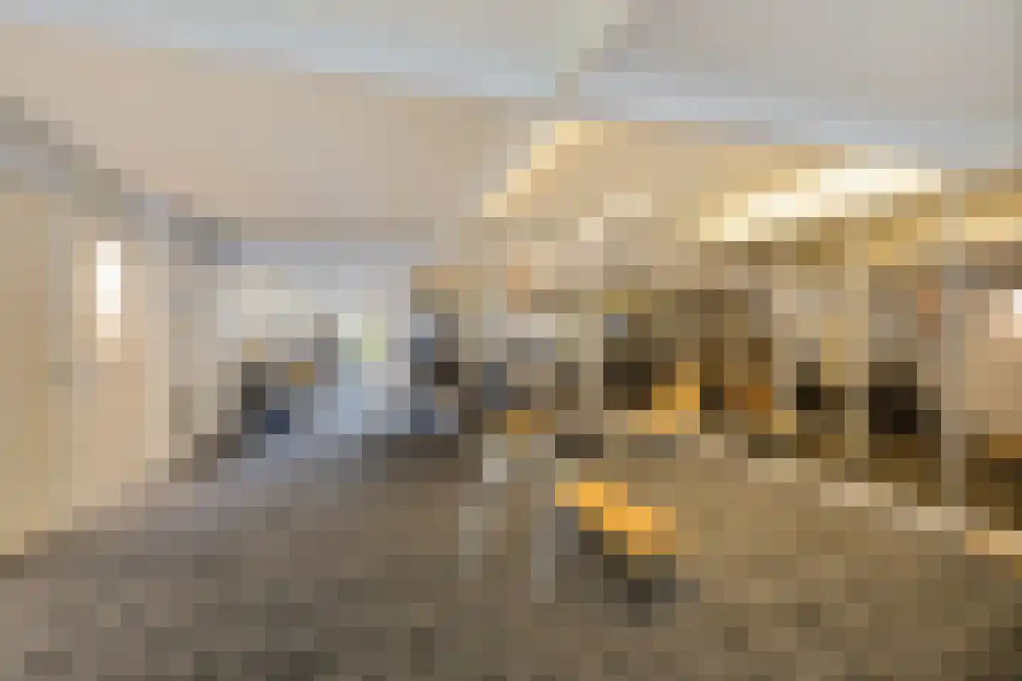 Dyksterbuorren 3 Menaam thumbnail 25
