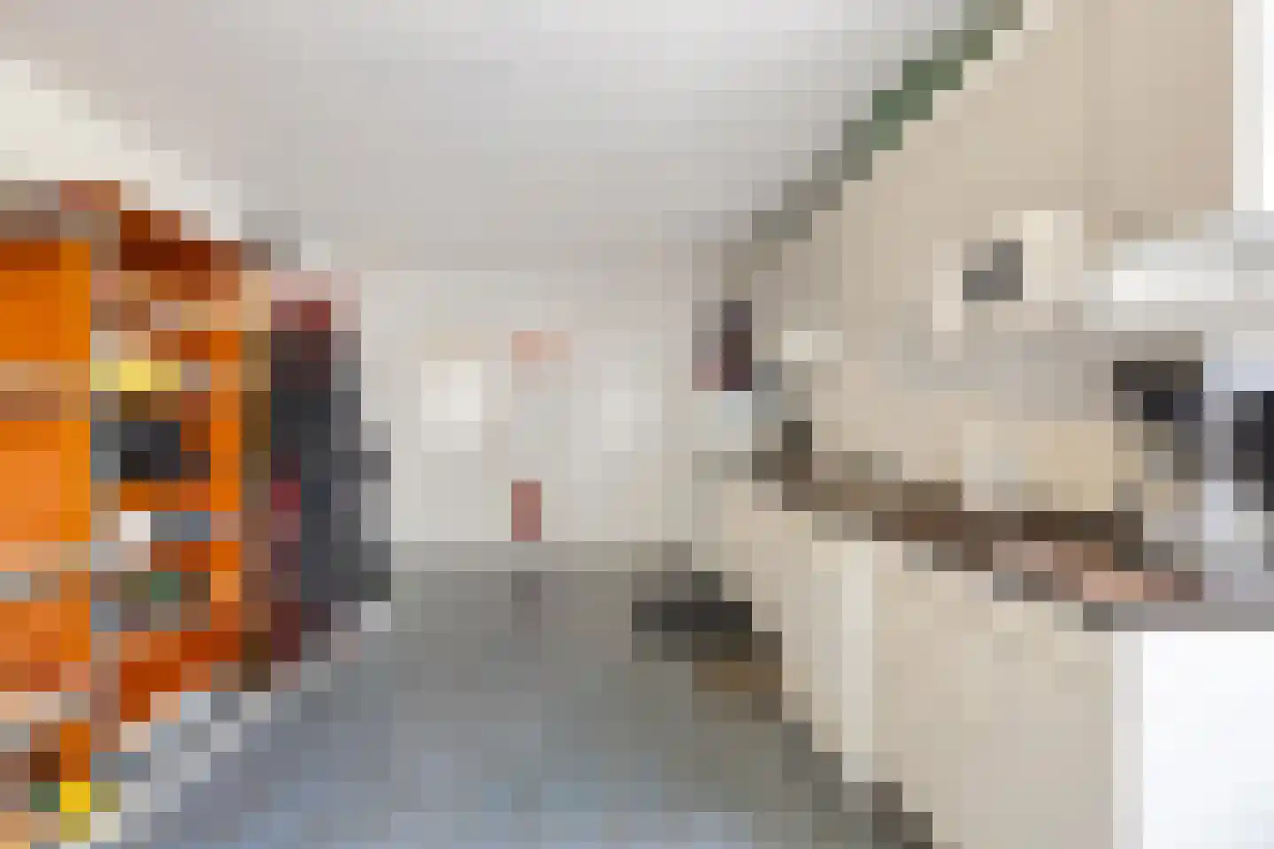 Dyksterbuorren 3 Menaam thumbnail 33