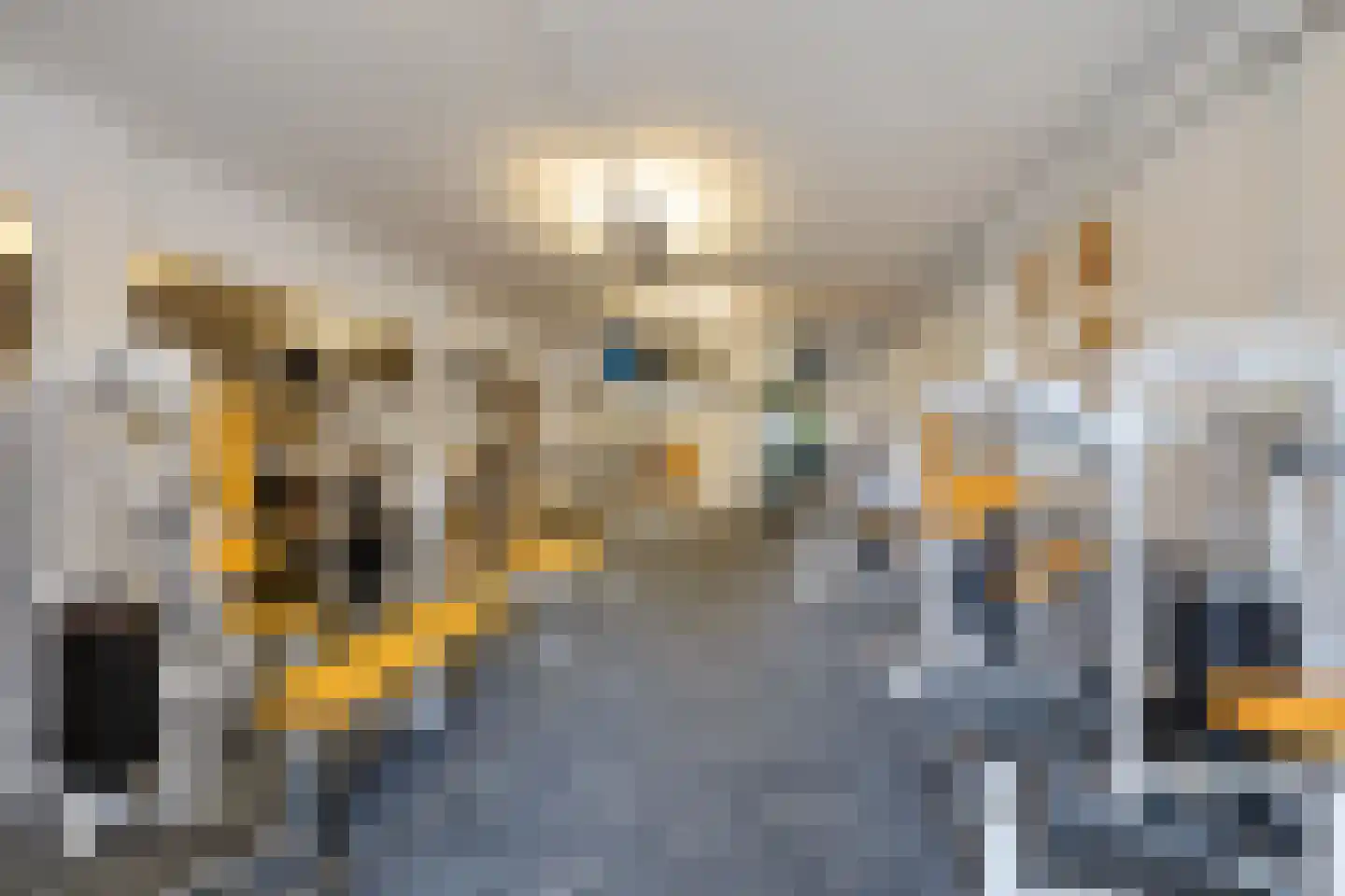 Dyksterbuorren 3 Menaam thumbnail 38