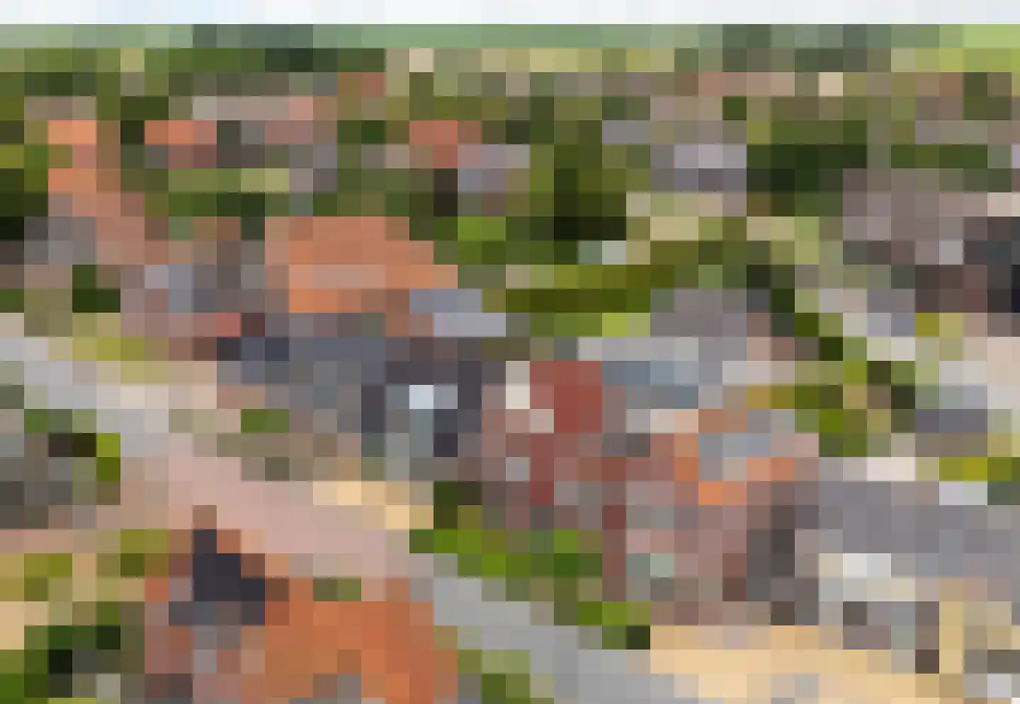 Dyksterbuorren 3 Menaam thumbnail 4