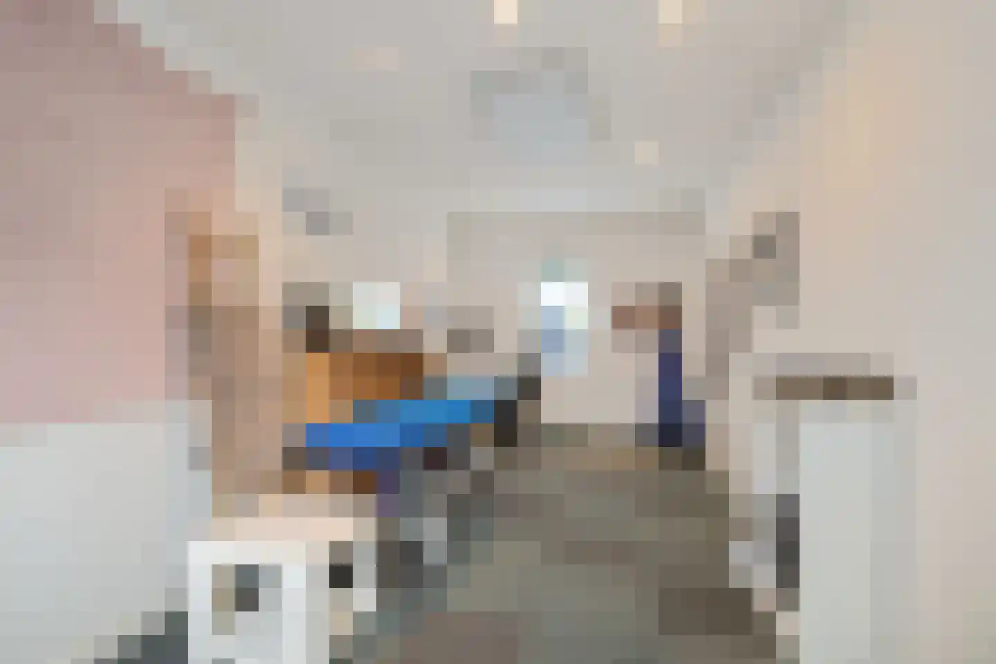 Dyksterbuorren 3 Menaam thumbnail 41