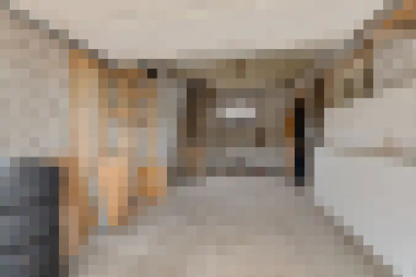 Dyksterbuorren 3 Menaam thumbnail 42