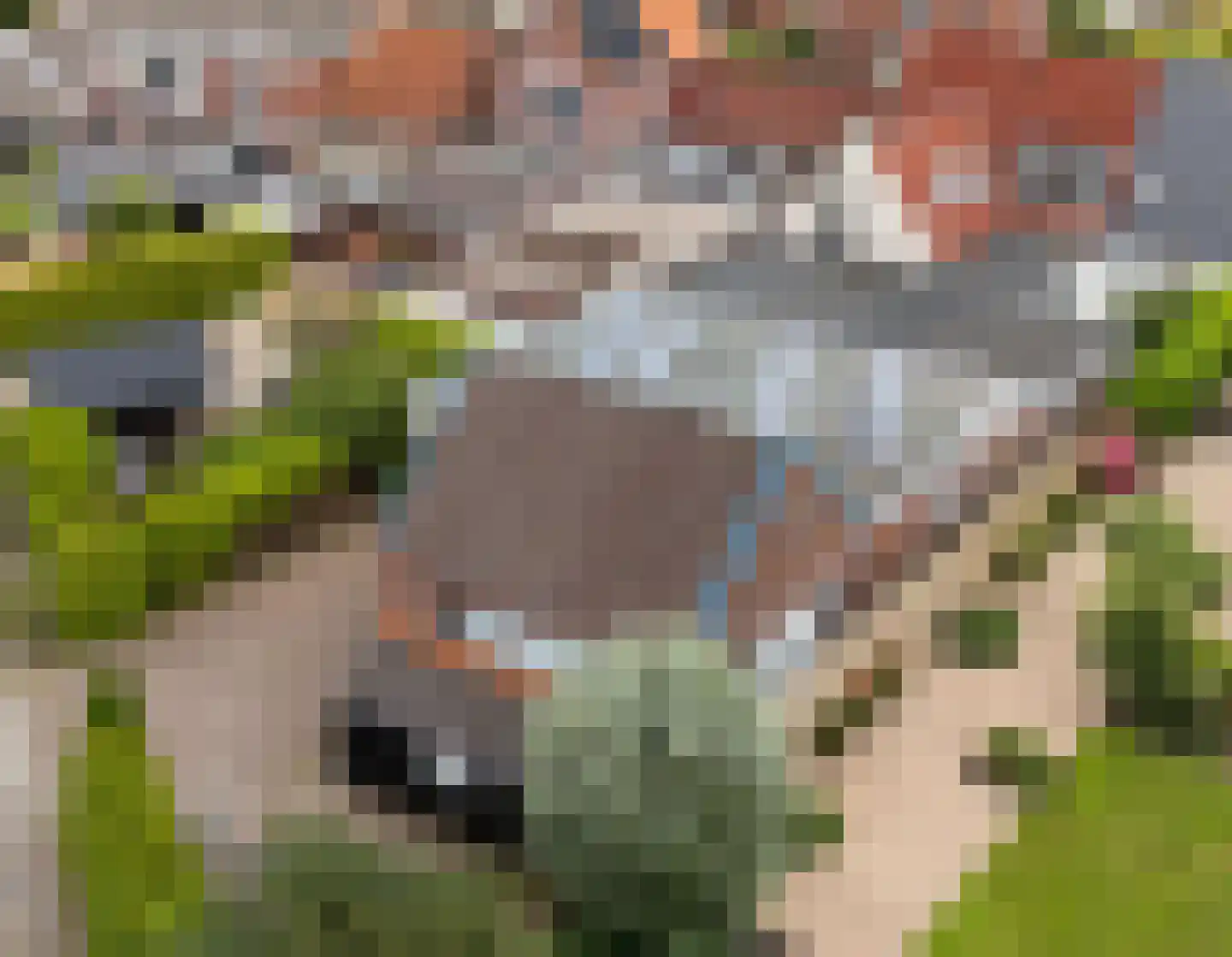 Dyksterbuorren 3 Menaam thumbnail 46