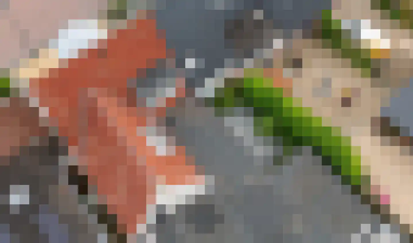 Dyksterbuorren 3 Menaam thumbnail 50