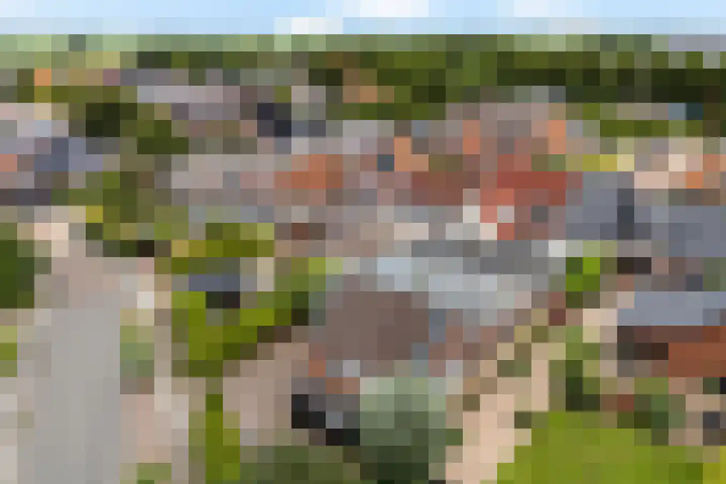 Dyksterbuorren 3 Menaam thumbnail 58