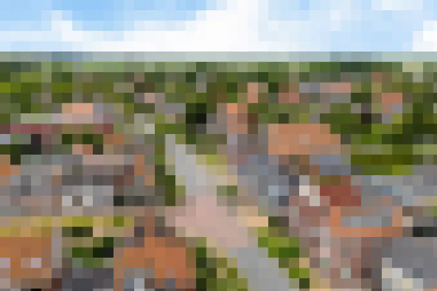 Dyksterbuorren 3 Menaam thumbnail 61
