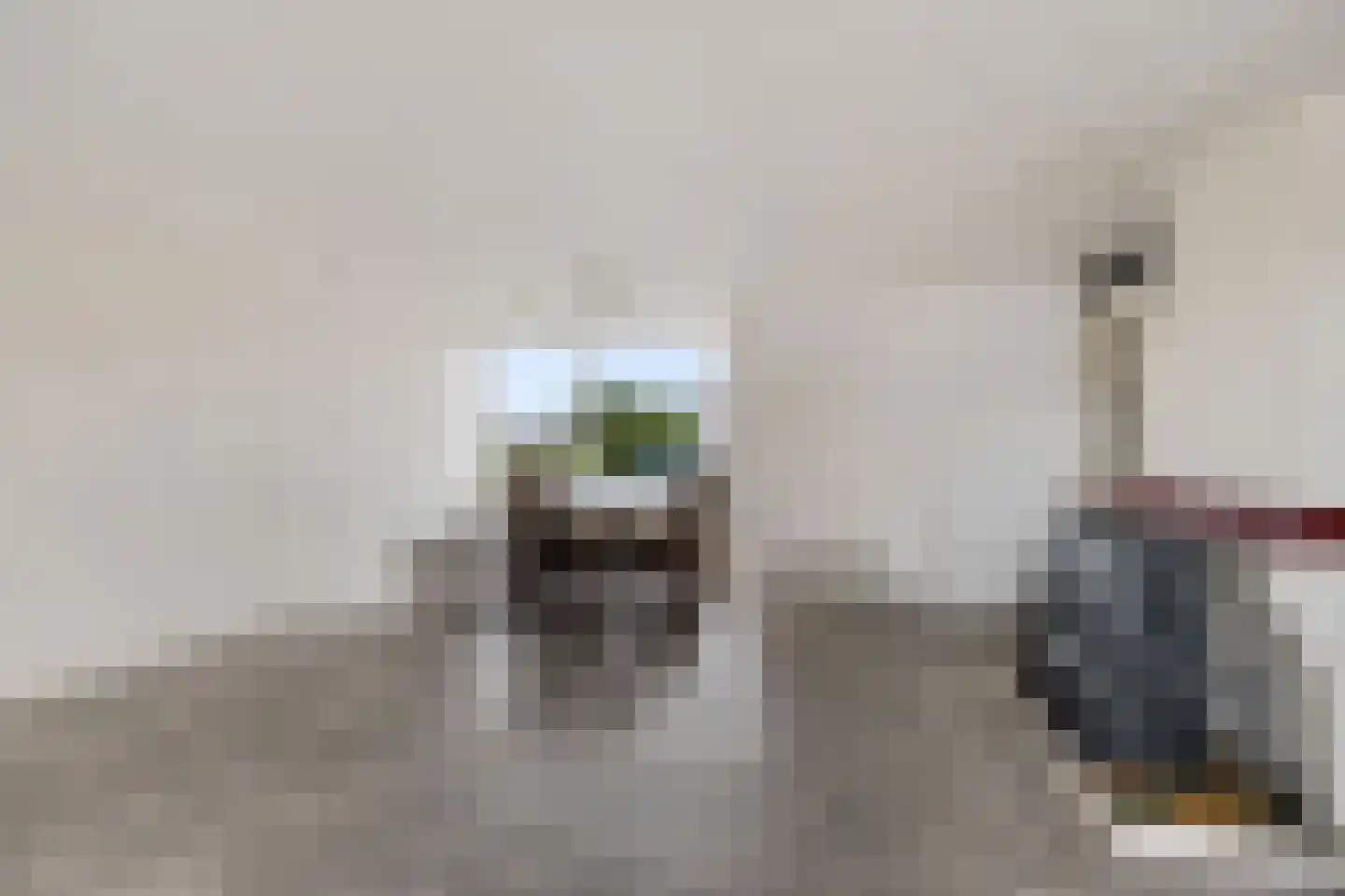 Dyksterbuorren 3 Menaam thumbnail 9
