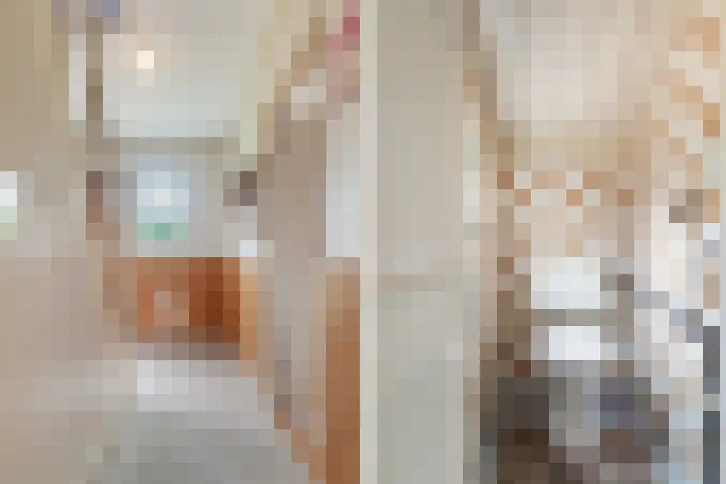 Dykstrjitte 12 Wierum thumbnail 16