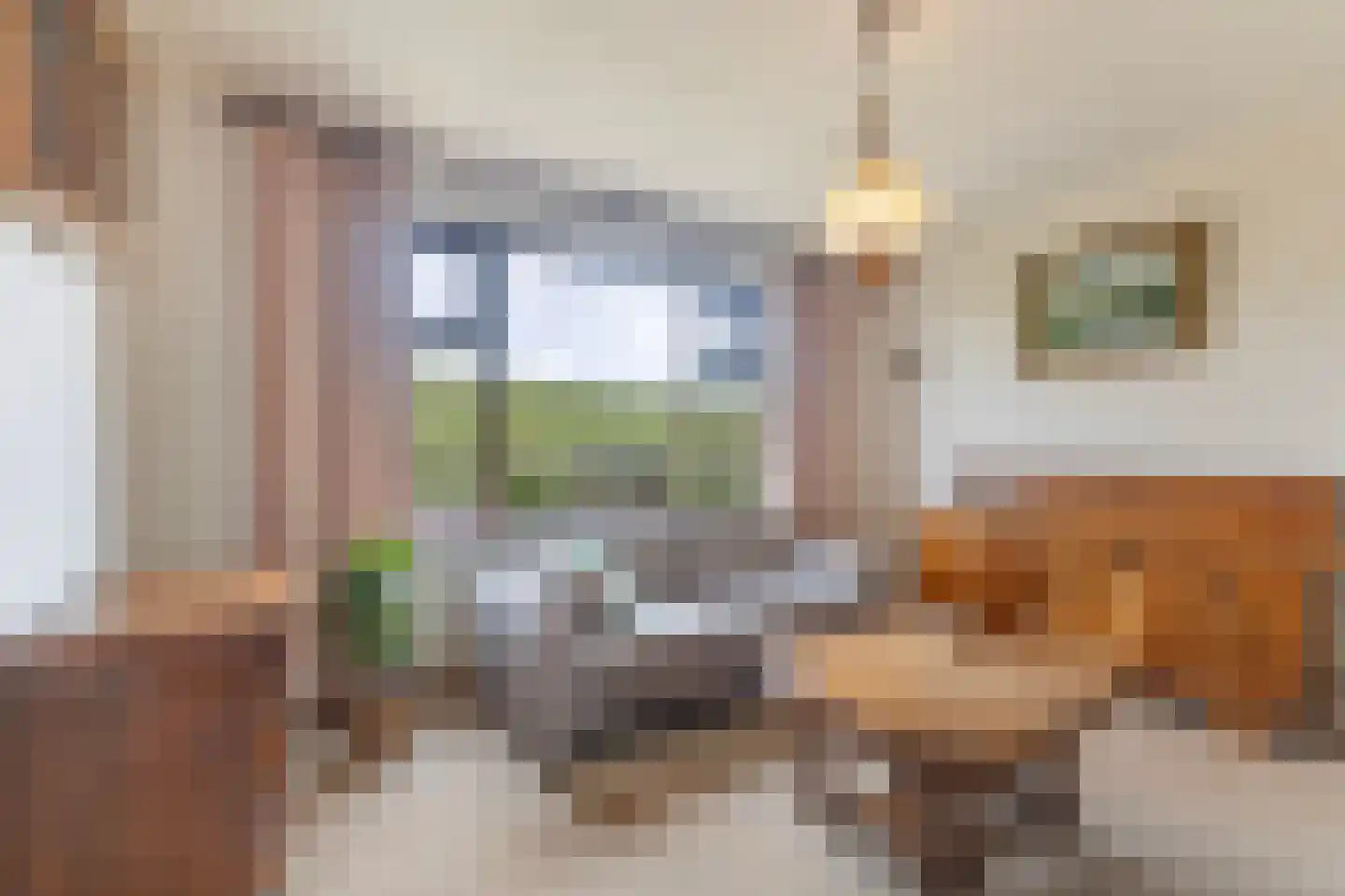 Dykstrjitte 12 Wierum thumbnail 18