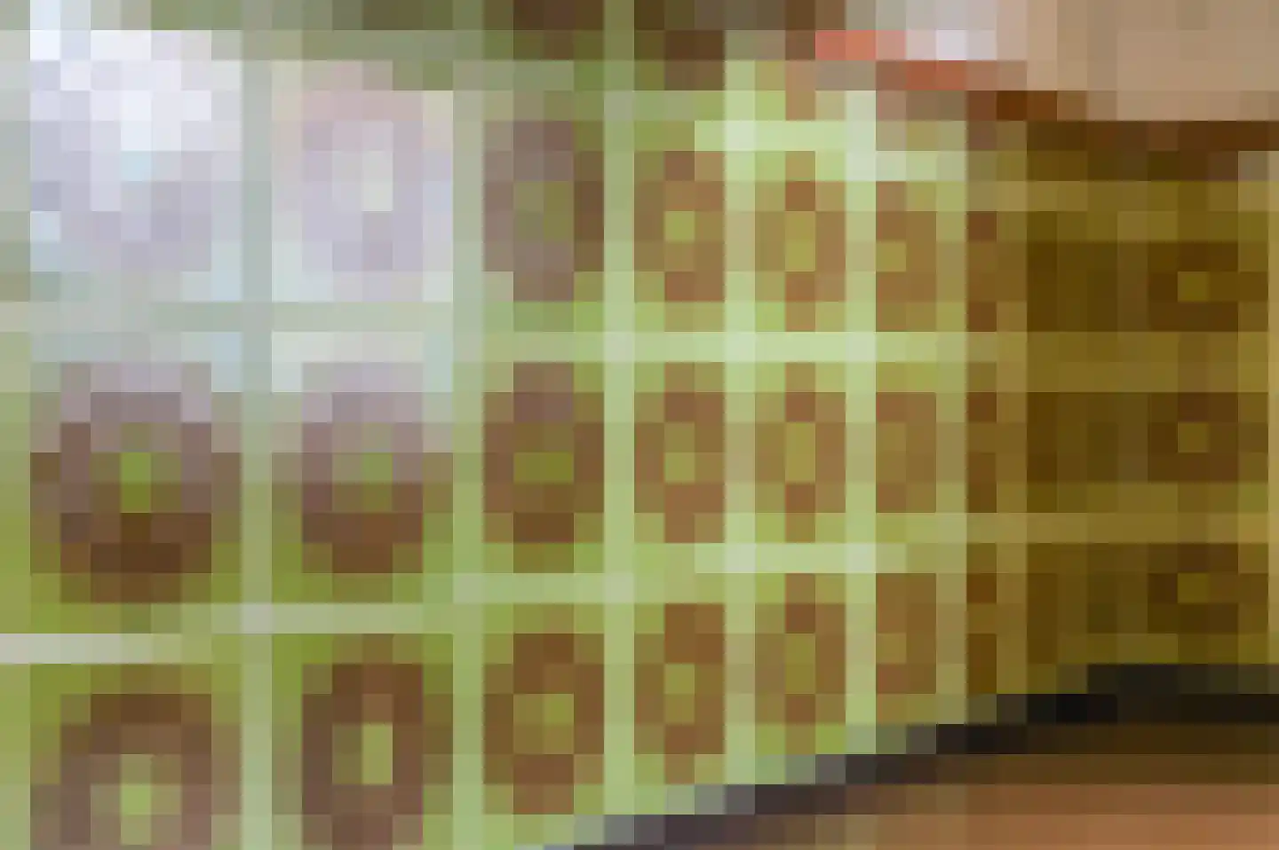 Dykstrjitte 12 Wierum thumbnail 28