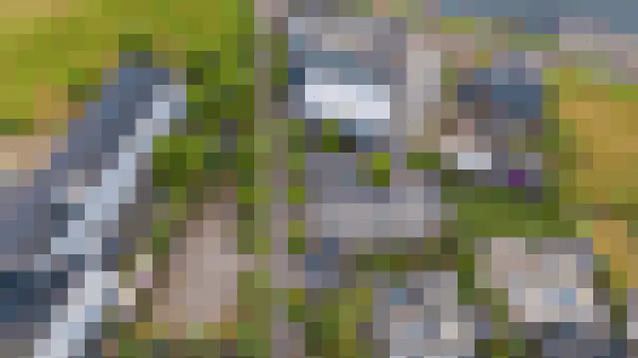 Dynamoweg 9 Vlissingen thumbnail 11