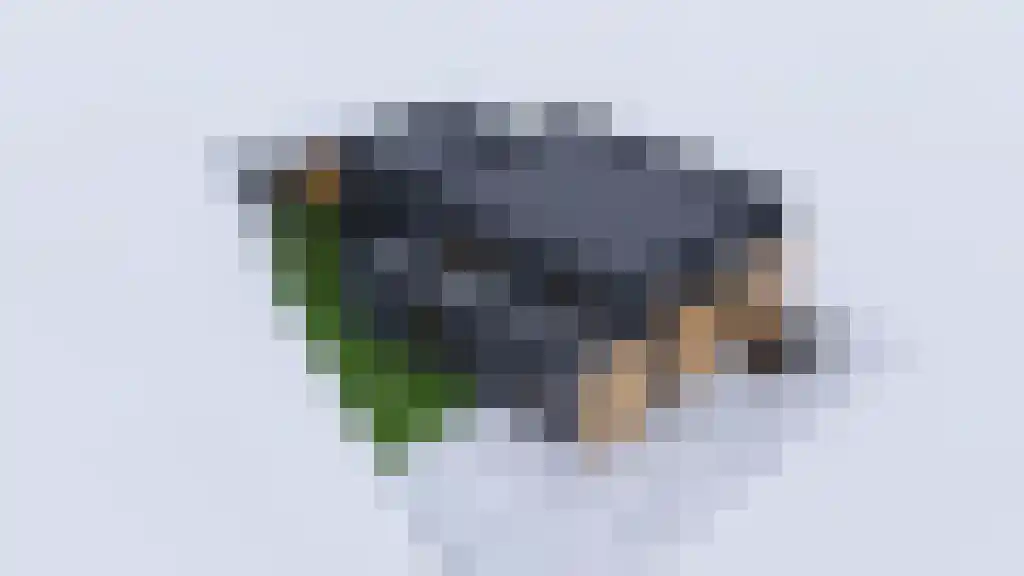 Dynamoweg 9 Vlissingen thumbnail 6
