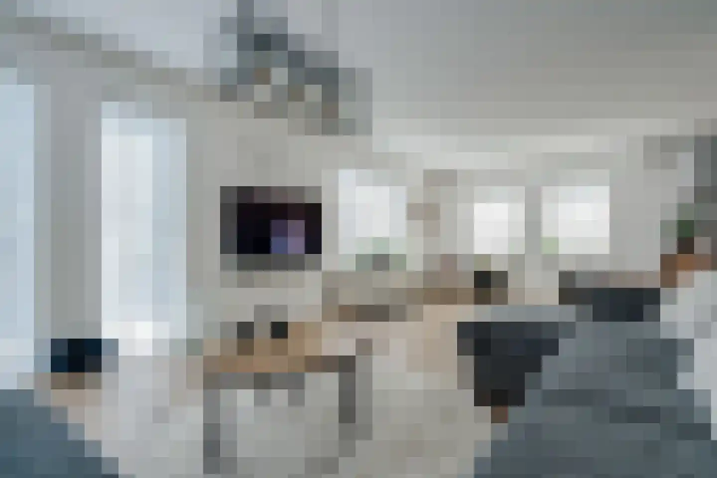 Dynselakker 5 Steenwijk thumbnail 12