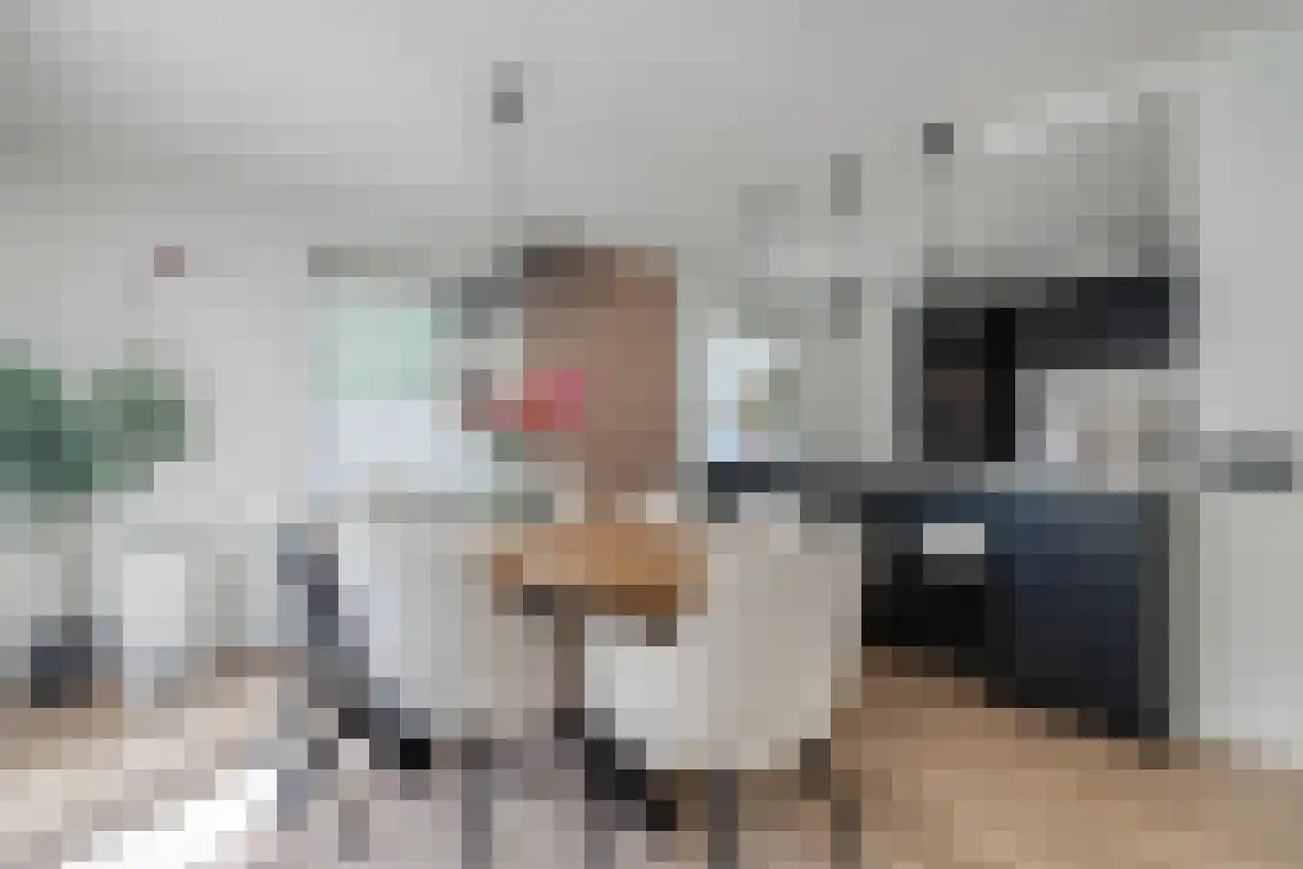 Dynselakker 5 Steenwijk thumbnail 14