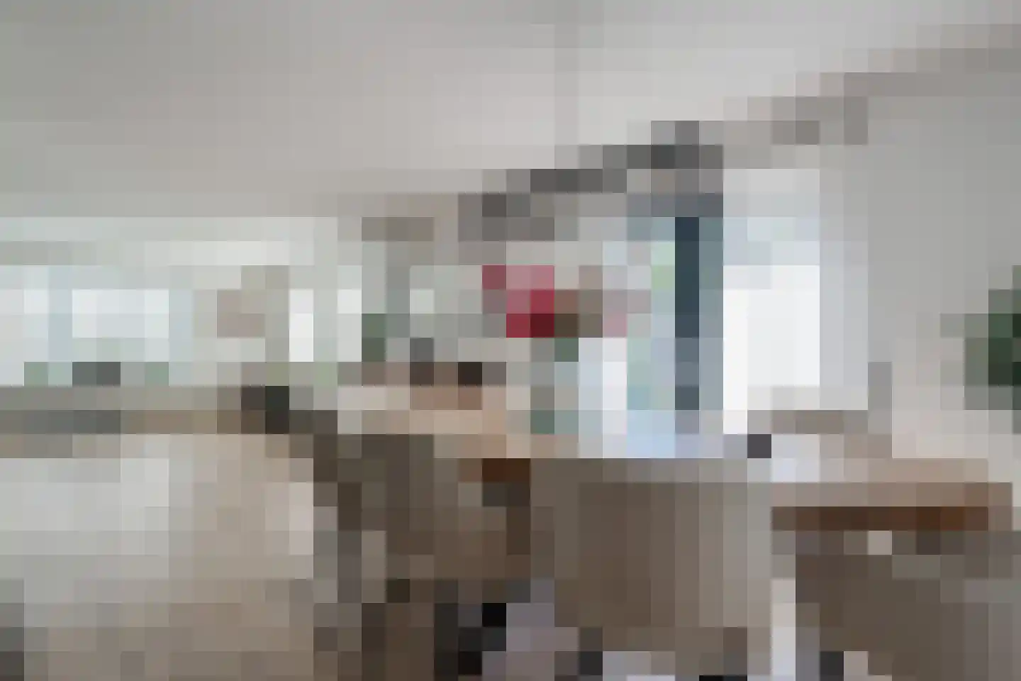 Dynselakker 5 Steenwijk thumbnail 16