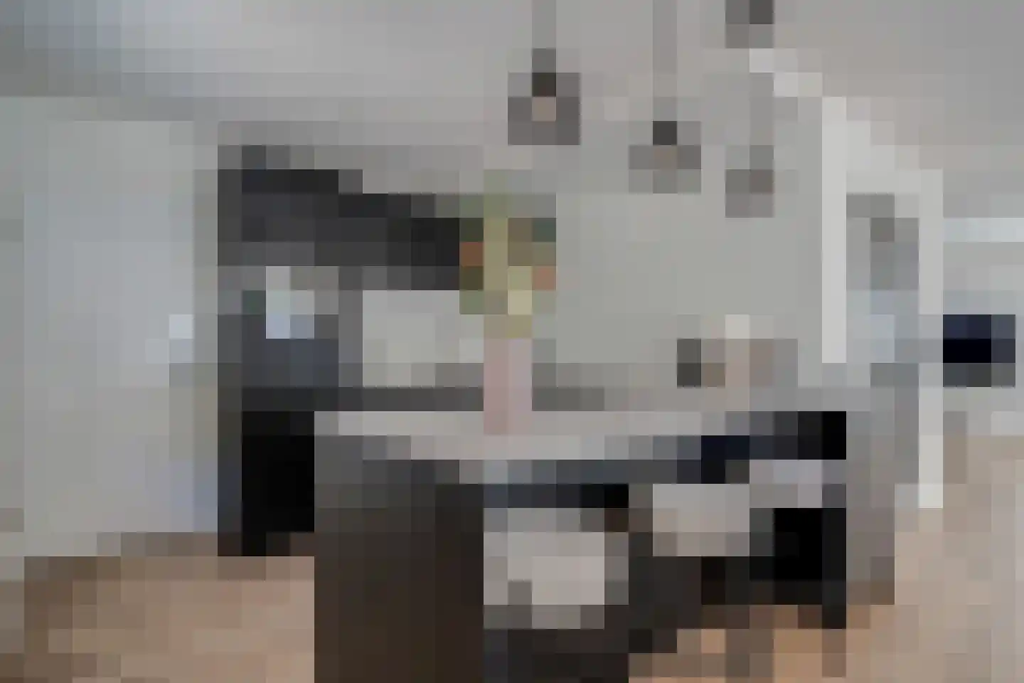 Dynselakker 5 Steenwijk thumbnail 17