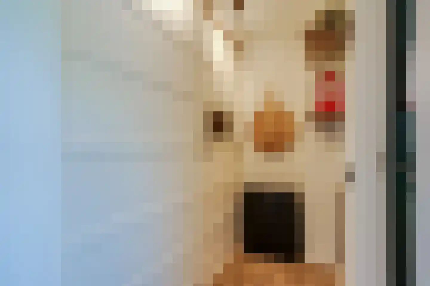 Dynselakker 5 Steenwijk thumbnail 22
