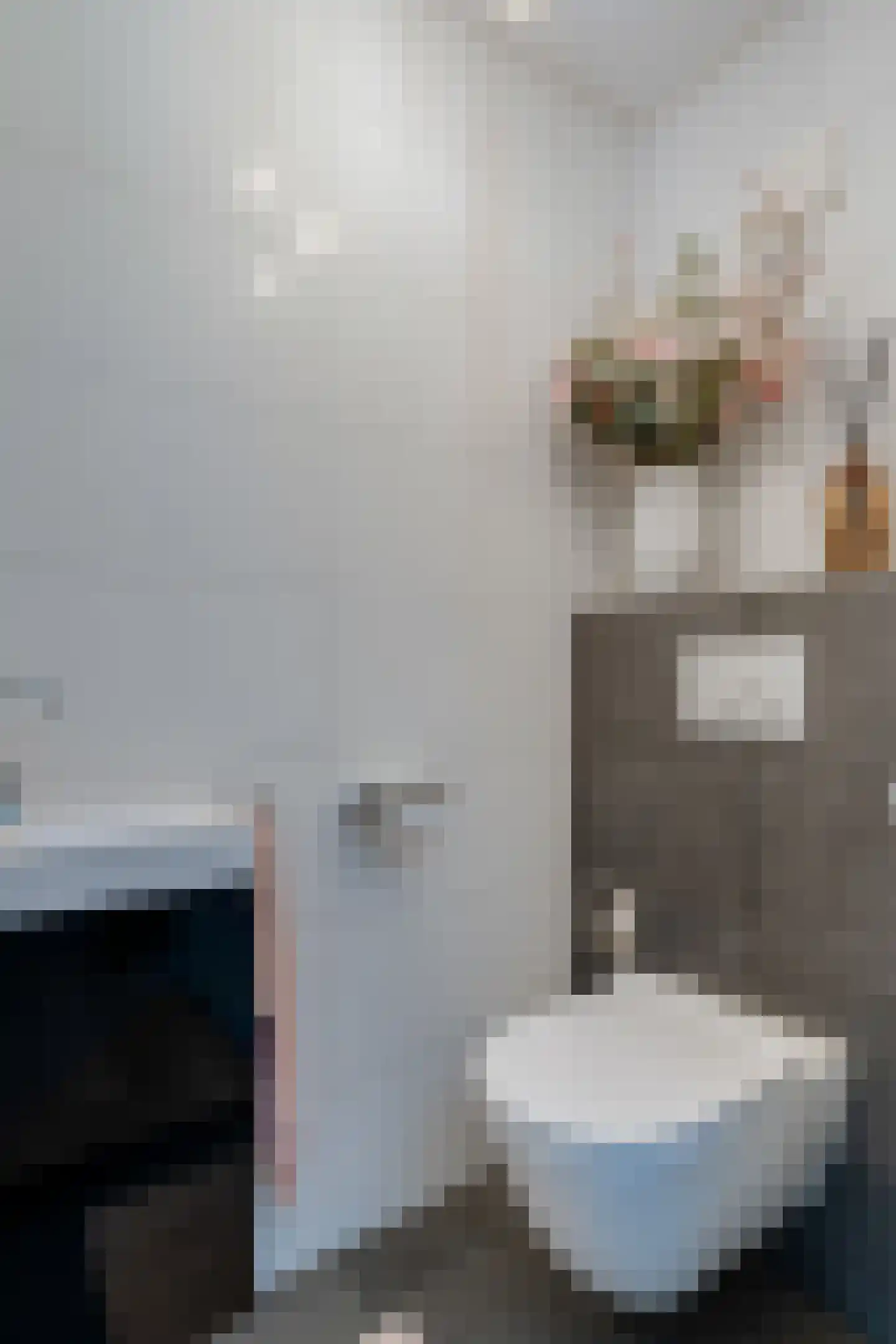 Dynselakker 5 Steenwijk thumbnail 27