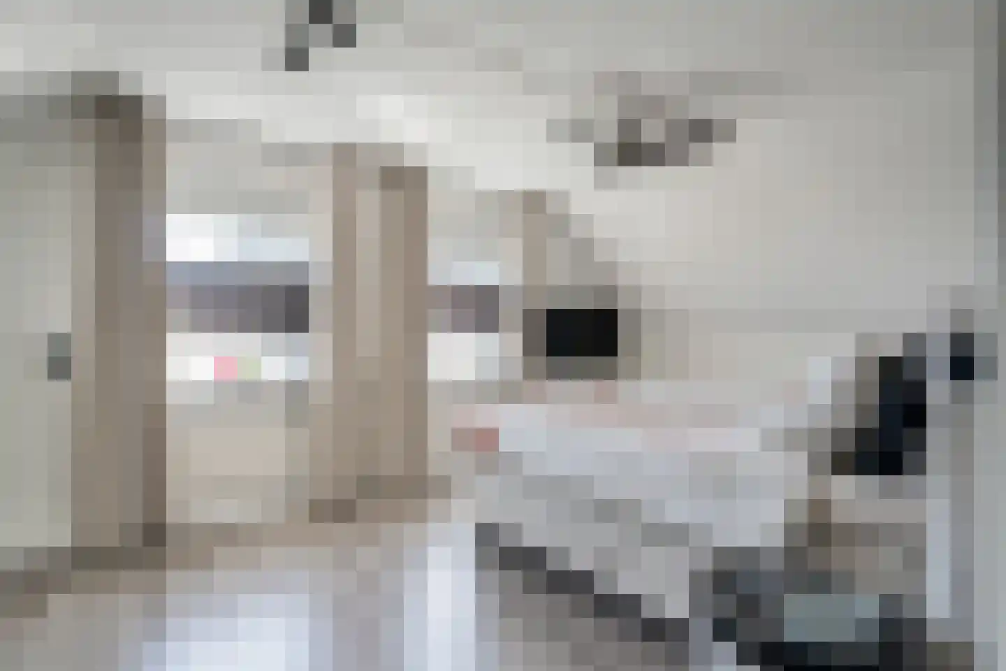 Dynselakker 5 Steenwijk thumbnail 30