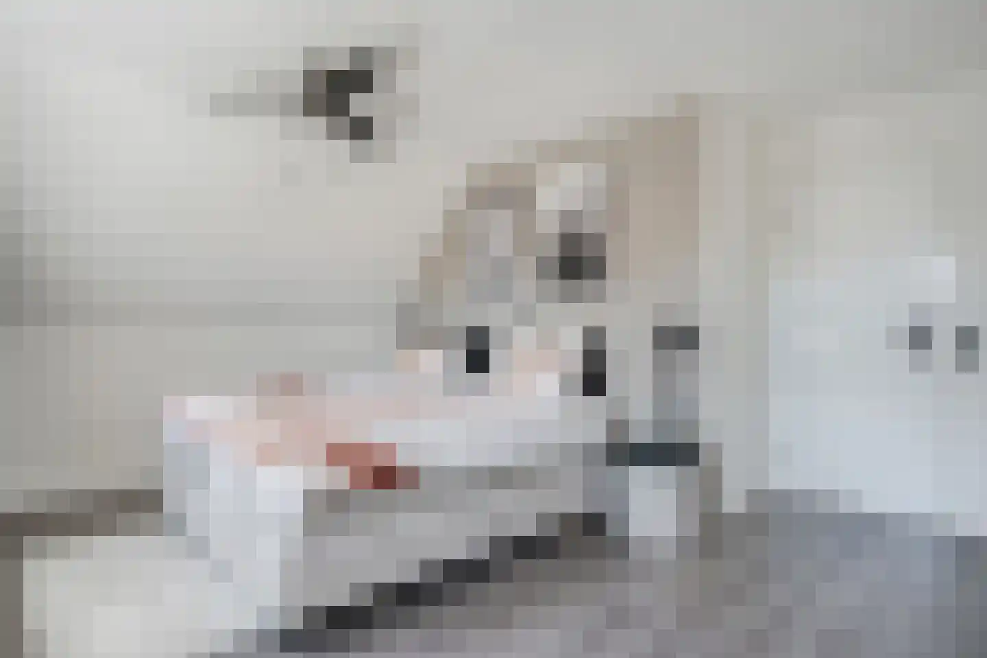 Dynselakker 5 Steenwijk thumbnail 31
