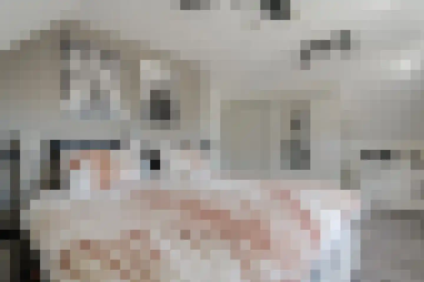Dynselakker 5 Steenwijk thumbnail 32