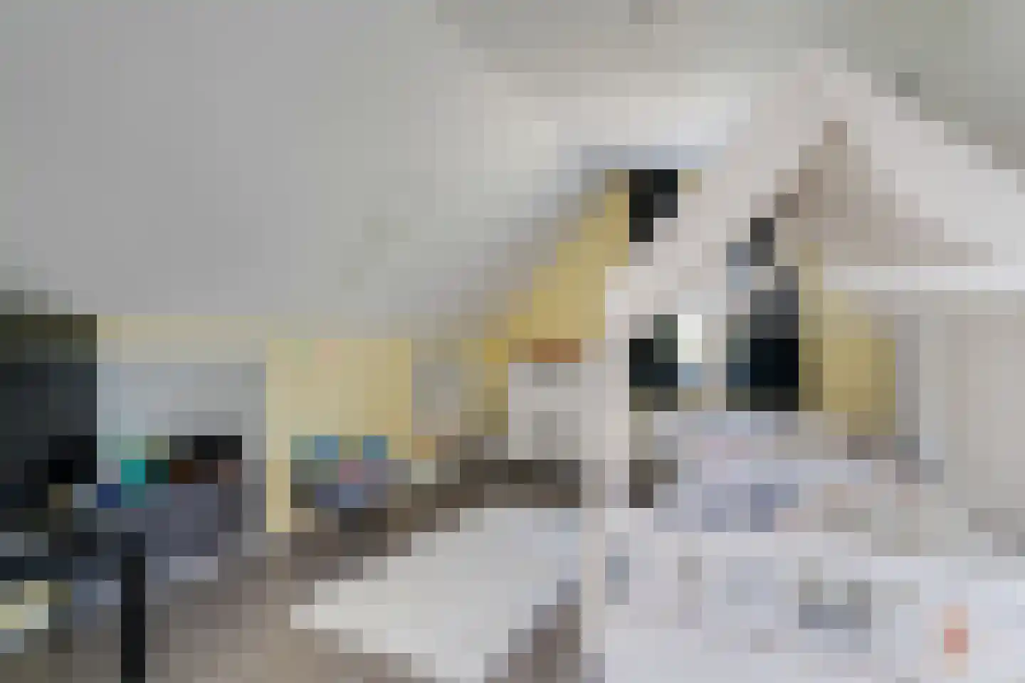 Dynselakker 5 Steenwijk thumbnail 33