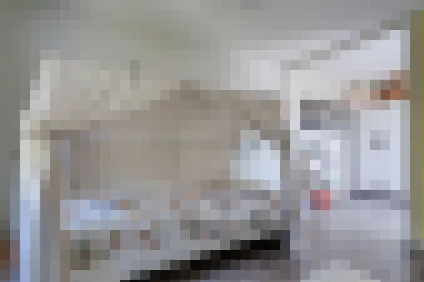 Dynselakker 5 Steenwijk thumbnail 34