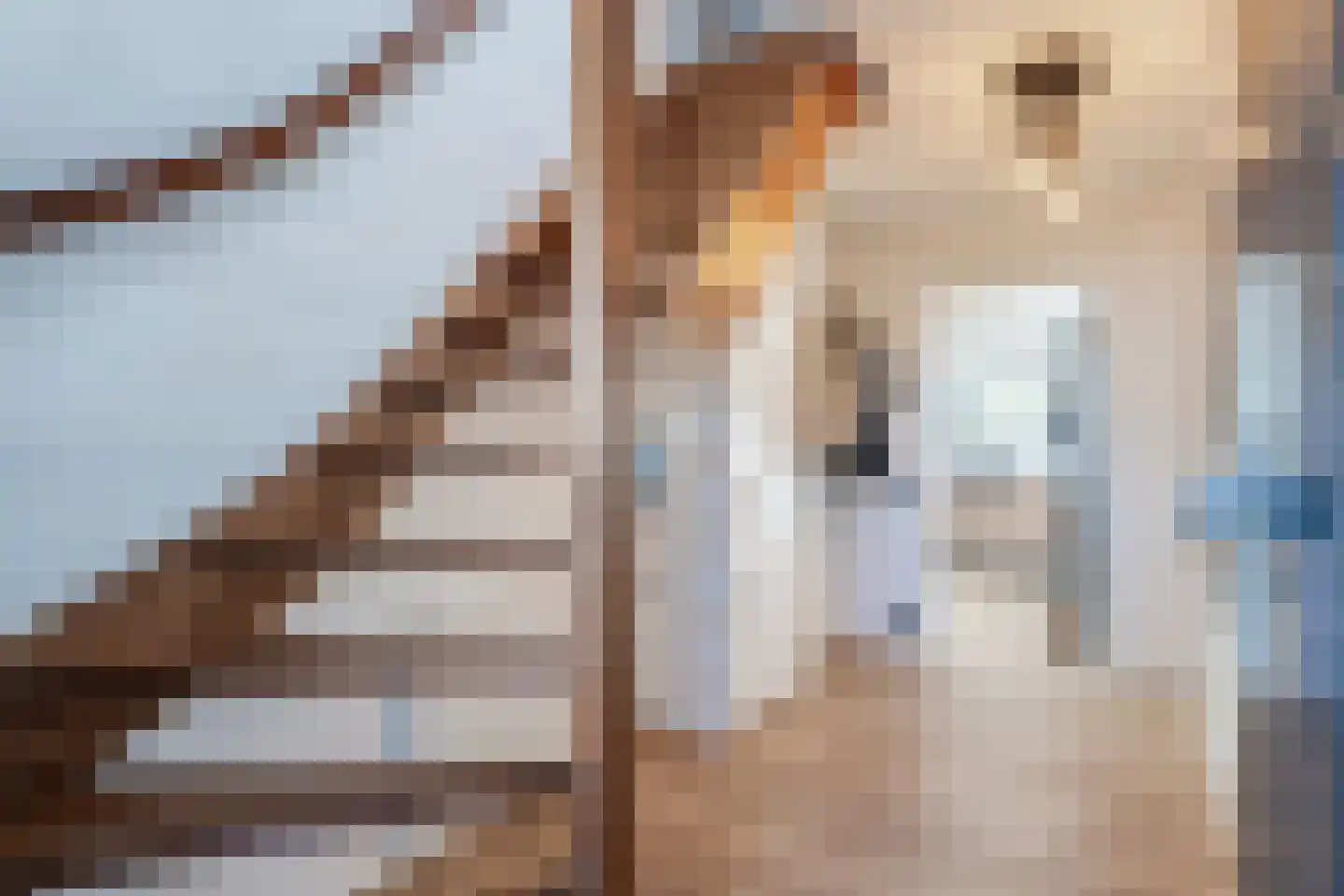 Dynselakker 5 Steenwijk thumbnail 5