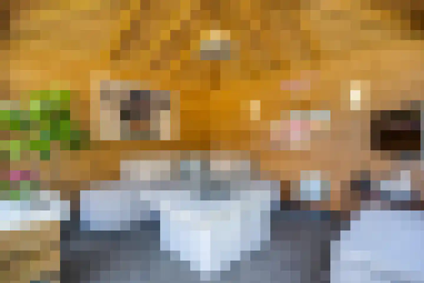Dynselakker 5 Steenwijk thumbnail 53