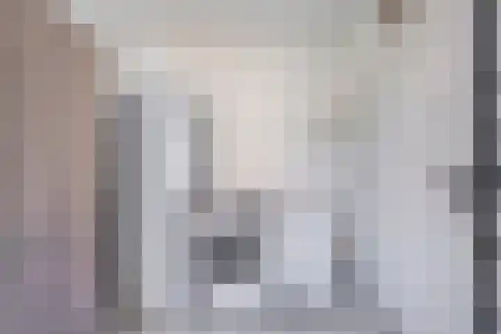 Dynselakker 6 Steenwijk thumbnail 12
