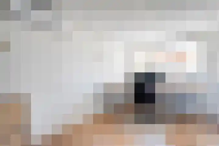 Dynselakker 6 Steenwijk thumbnail 15