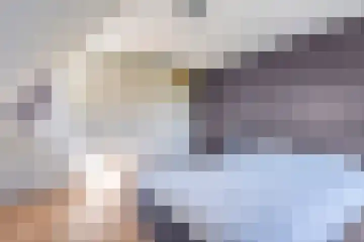 Dynselakker 6 Steenwijk thumbnail 23