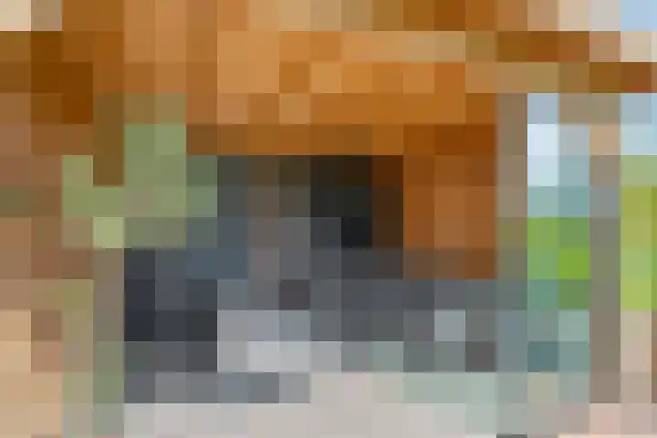 Dynselakker 6 Steenwijk thumbnail 31