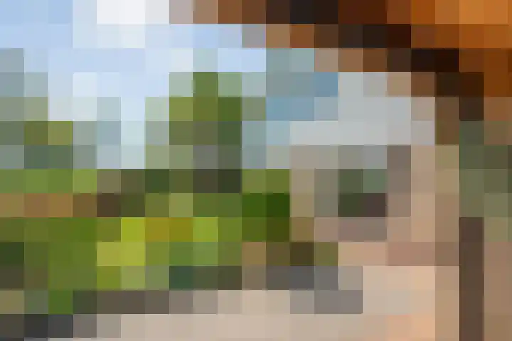 Dynselakker 6 Steenwijk thumbnail 32