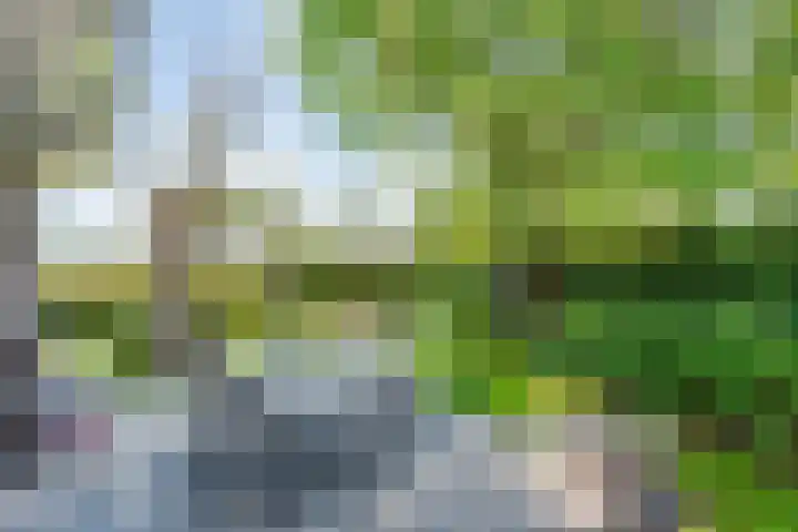 Dynselakker 6 Steenwijk thumbnail 33
