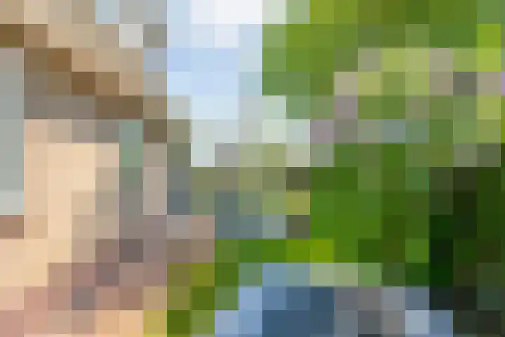 Dynselakker 6 Steenwijk thumbnail 34
