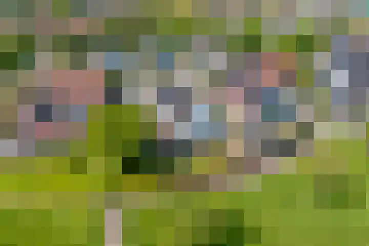 Dynselakker 6 Steenwijk thumbnail 35