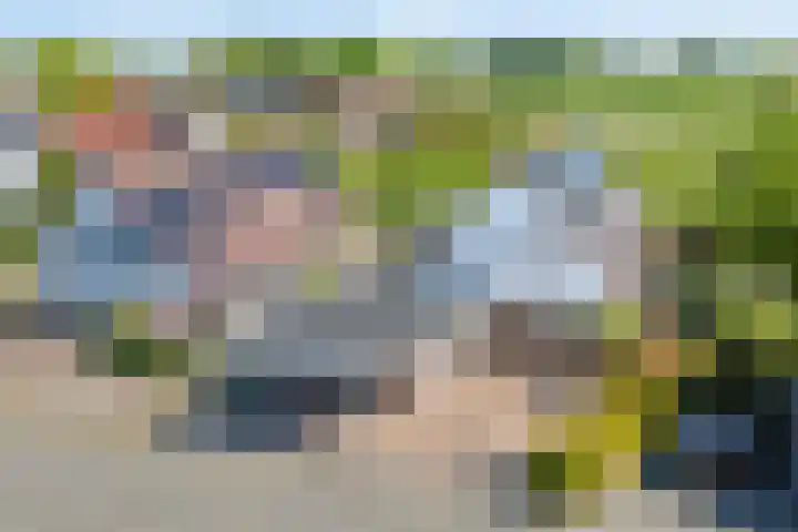 Dynselakker 6 Steenwijk thumbnail 36