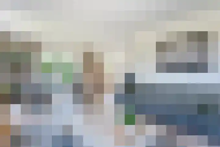 Dynselakker 6 Steenwijk thumbnail 4