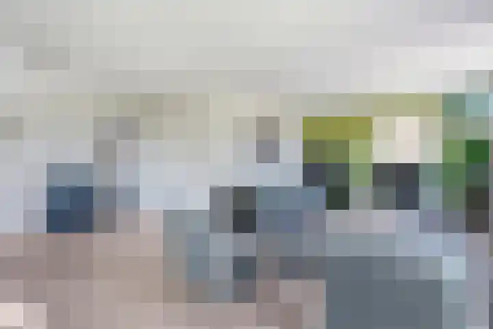 Dynselakker 6 Steenwijk thumbnail 5