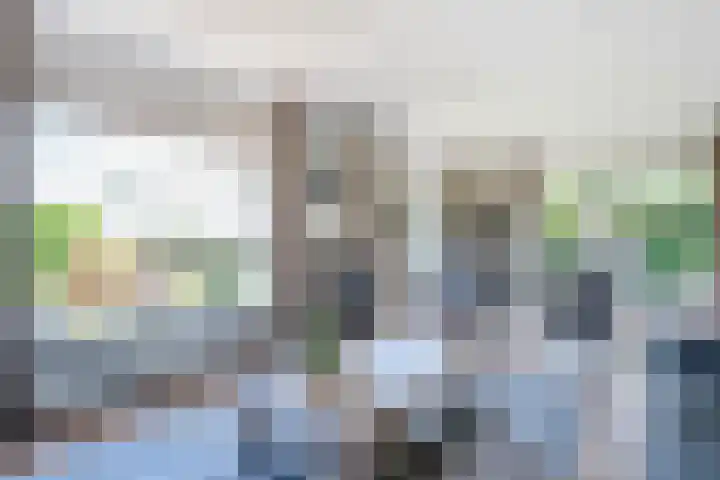 Dynselakker 6 Steenwijk thumbnail 6