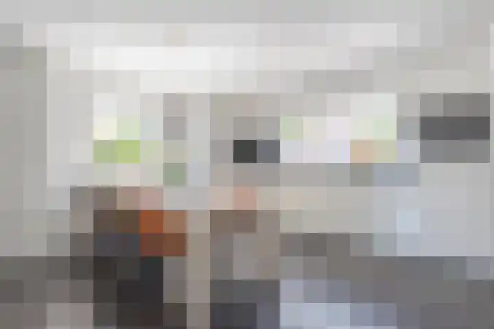 Dynselakker 6 Steenwijk thumbnail 8