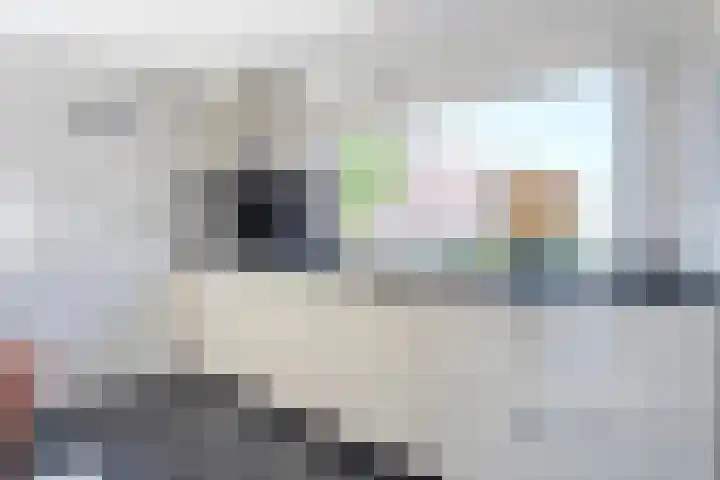 Dynselakker 6 Steenwijk thumbnail 9