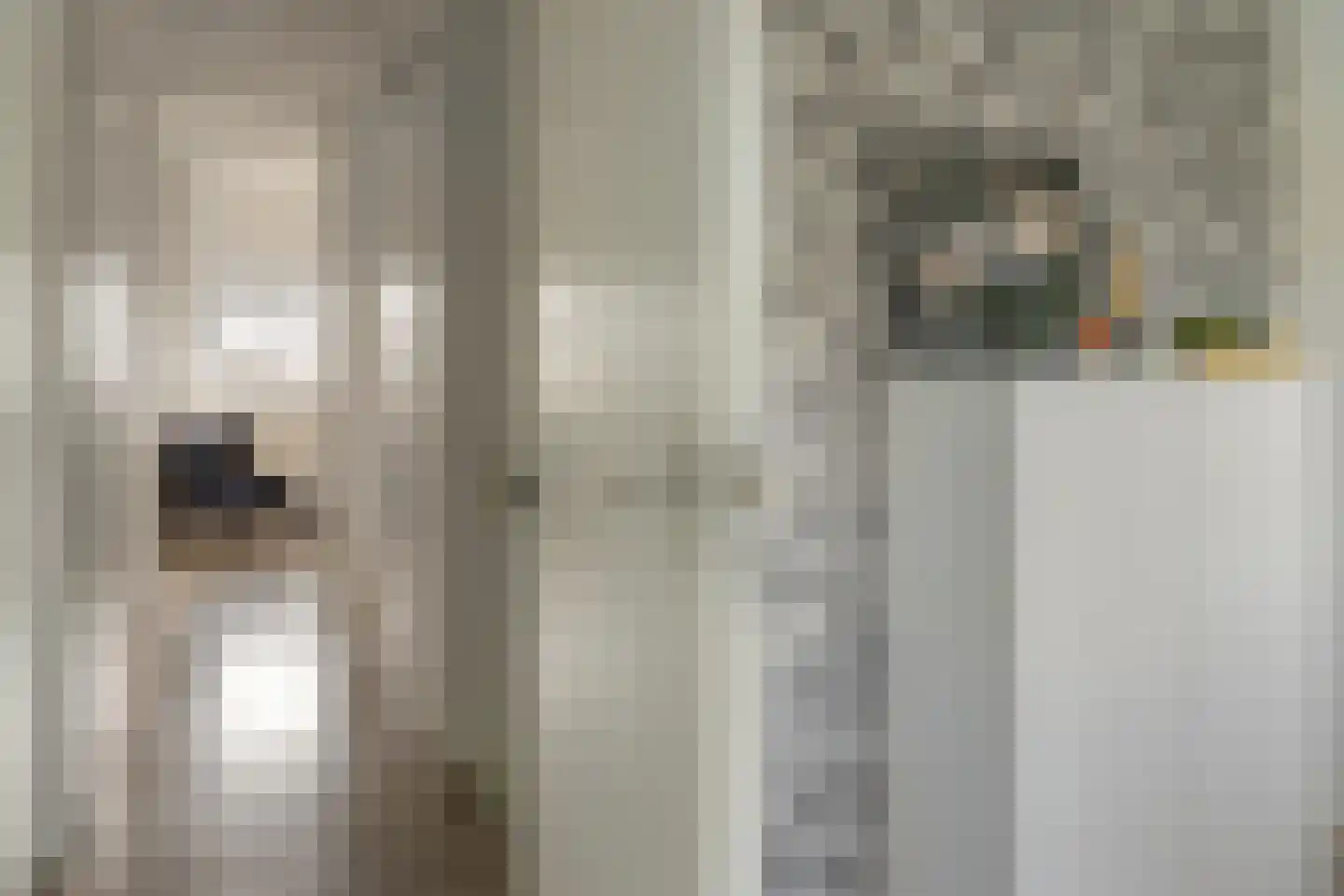 E A Borgerstraat 56 Joure thumbnail 17